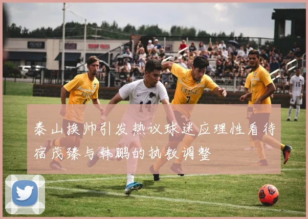 泰山换帅引发热议球迷应理性看待宿茂臻与韩鹏的执教调整